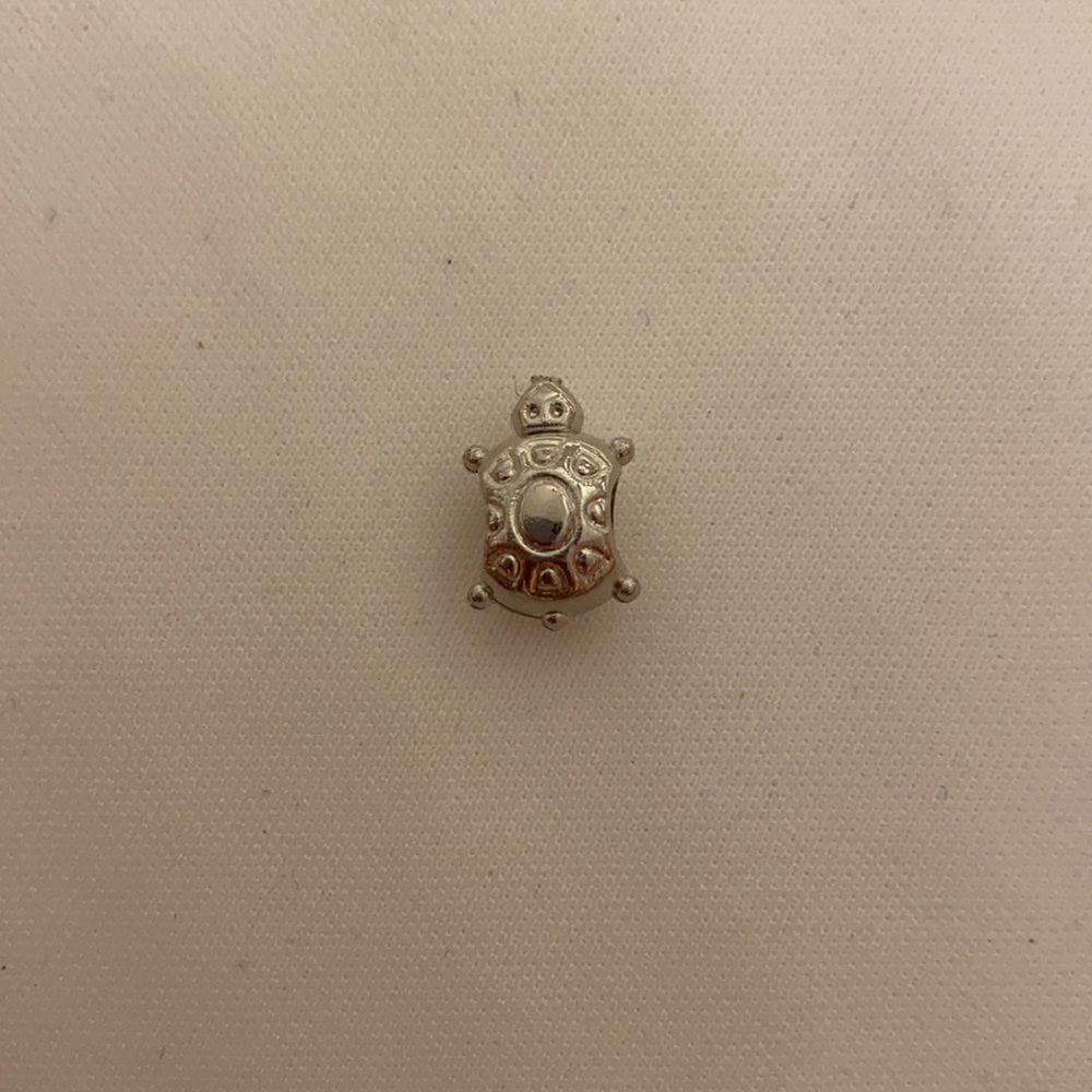 Turtle Charm